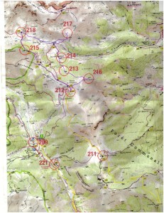 Carte_IGN_CO_1_Trail_Montagne_Mercantour_2013_tracee